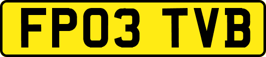 FP03TVB