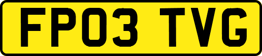 FP03TVG