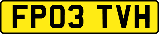FP03TVH