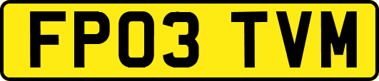 FP03TVM
