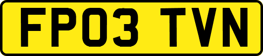 FP03TVN