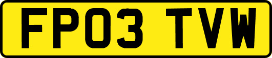 FP03TVW
