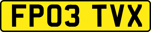 FP03TVX