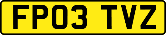 FP03TVZ