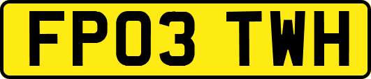 FP03TWH