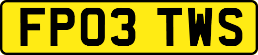FP03TWS