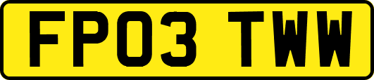 FP03TWW