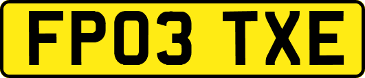 FP03TXE