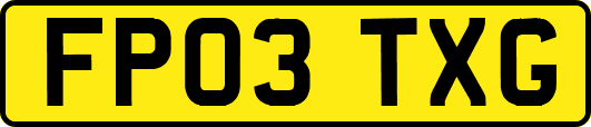 FP03TXG