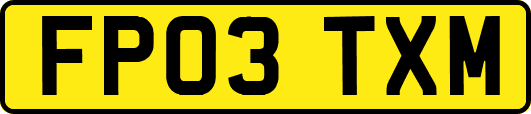 FP03TXM