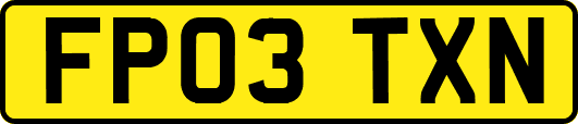 FP03TXN