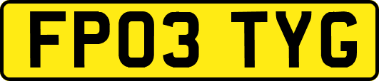 FP03TYG