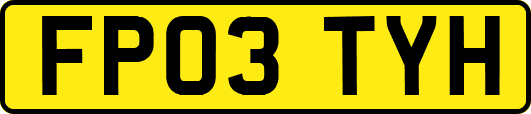FP03TYH