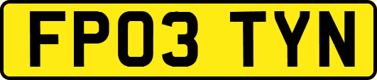 FP03TYN
