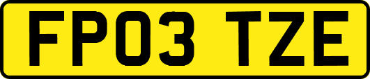 FP03TZE