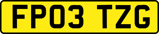 FP03TZG