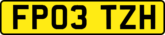 FP03TZH
