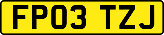 FP03TZJ
