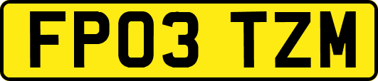FP03TZM