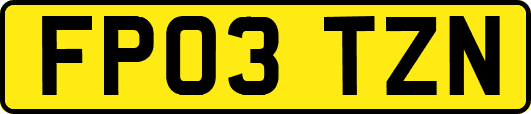 FP03TZN