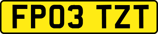 FP03TZT