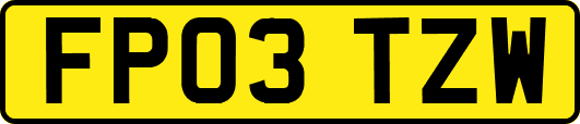 FP03TZW