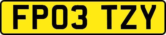 FP03TZY