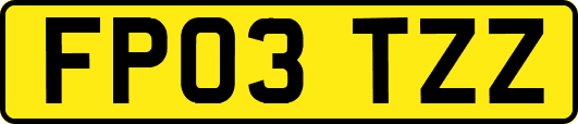 FP03TZZ
