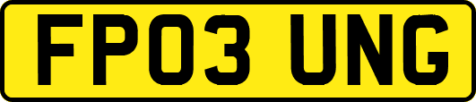 FP03UNG