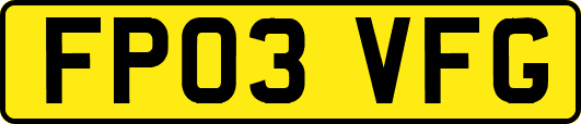 FP03VFG