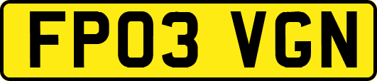 FP03VGN