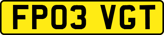 FP03VGT