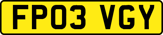 FP03VGY