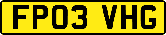 FP03VHG