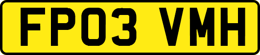 FP03VMH