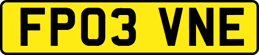FP03VNE