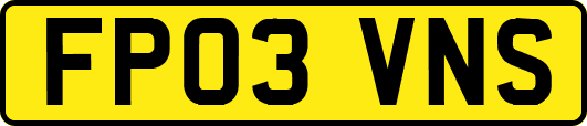 FP03VNS