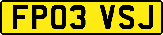 FP03VSJ