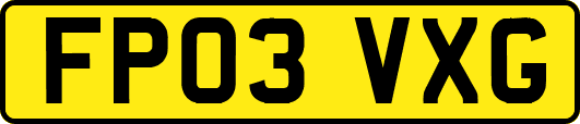 FP03VXG