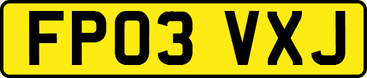 FP03VXJ