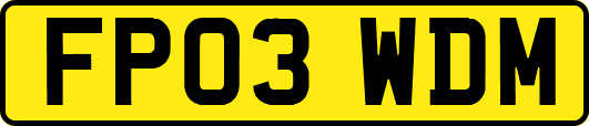 FP03WDM