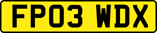 FP03WDX