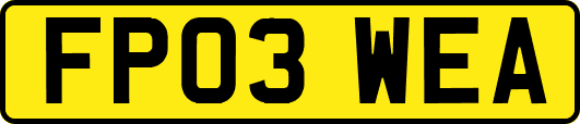 FP03WEA