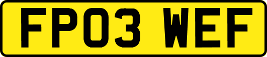FP03WEF