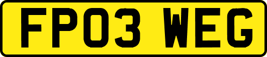 FP03WEG