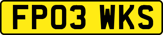 FP03WKS