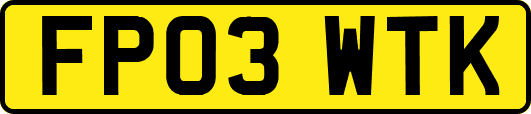 FP03WTK