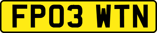 FP03WTN
