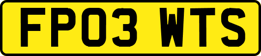 FP03WTS