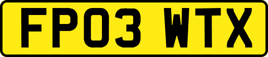 FP03WTX
